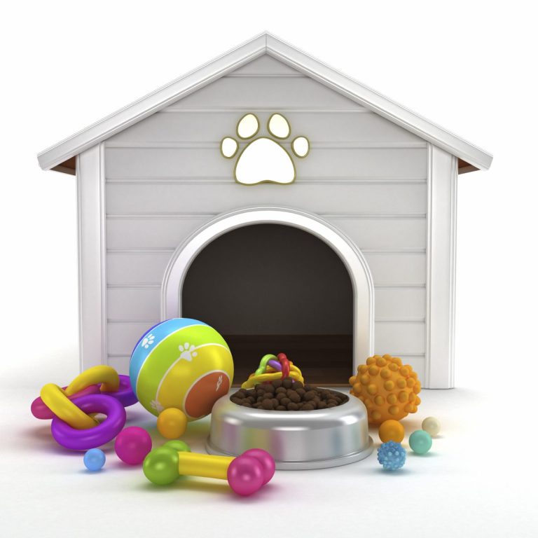 Hundeausstattung